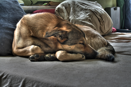HDR Bild